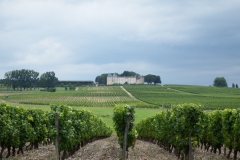 33_Sauternes_2014_001