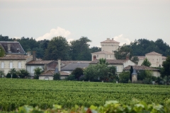 33_Sauternes_2014_005
