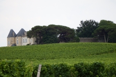 33_Sauternes_2014_007
