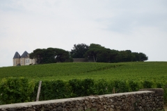 33_Sauternes_2014_008