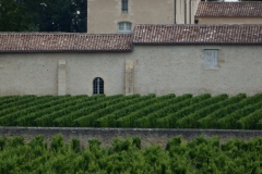 33_Sauternes_2014_013