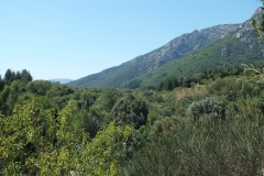 34_Gaillergues_2012_007