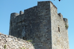 46_Capdenac_2013_039