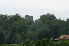 46_Lagarde_2011_002