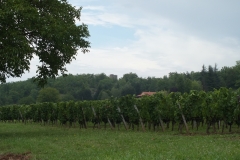 46_Lagarde_2011_003