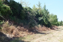 47_Pardaillan_2012_027