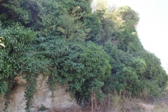 47_Pardaillan_2012_031