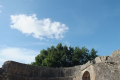 46_Bonaguil_2011_041