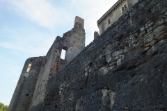 46_Bonaguil_2011_102