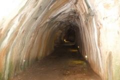 46_Bonaguil_2011_116