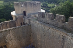 46_Bonaguil_2011_200