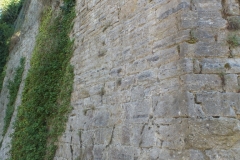 64_SauveterreBearn_2013_003