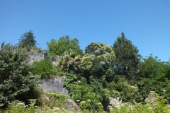 64_SauveterreBearn_2013_015