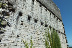 64_SauveterreBearn_2013_055