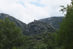 66_Fenouillet_2011_001