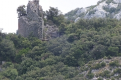 66_Fenouillet_2011_002