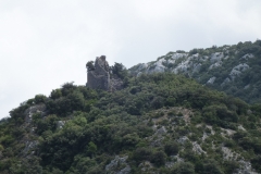 66_Fenouillet_2011_003