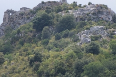 66_Fenouillet_2011_006