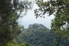 66_Fenouillet_2011_008