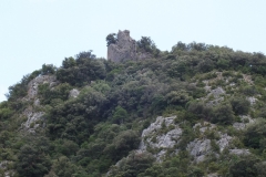 66_Fenouillet_2011_010