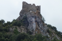 66_Fenouillet_2011_023