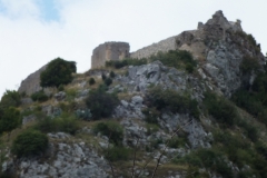 66_Fenouillet_2011_027