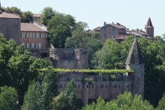 81_Albi_2011_006