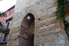 81_CastelnauMontmiral_2014_007