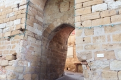 81_CastelnauMontmiral_2014_008