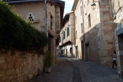 81_CastelnauMontmiral_2014_017