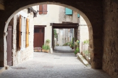 81_CastelnauMontmiral_2011_012