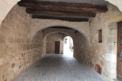 81_CastelnauMontmiral_2011_014