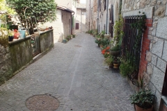 81_CastelnauMontmiral_2011_015