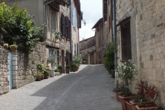 81_CastelnauMontmiral_2011_044
