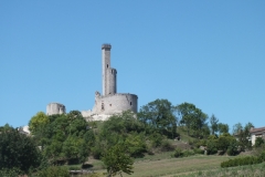 81_CastelnauLevis_2011_001