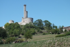 81_CastelnauLevis_2011_002
