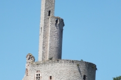 81_CastelnauLevis_2011_005