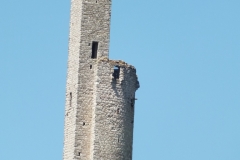 81_CastelnauLevis_2011_006