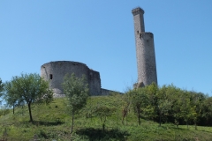 81_CastelnauLevis_2011_008