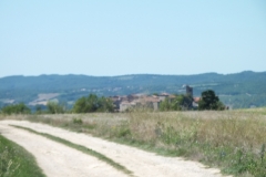 81_Cordes_2011_008