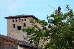 81_Gaillac_2014_018