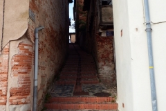 81_Gaillac_2014_026