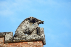 81_Gaillac_2014_028