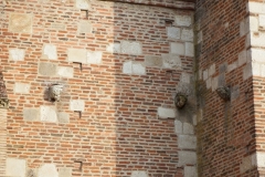 81_Gaillac_2014_045