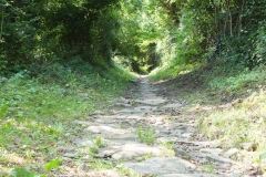 81_Hautpoul_2011_047
