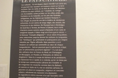 81_Lavaur_2011_049