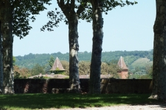 81_Lavaur_2011_104