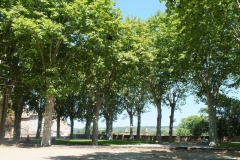 81_Lavaur_2011_106