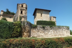 81_Magrin_2011_006