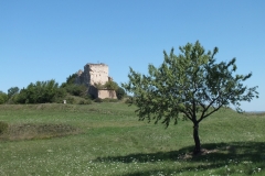 81_Montsalvy_2011_011